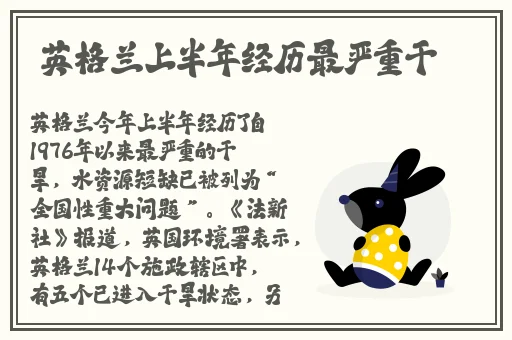 2019午夜视频福利在线